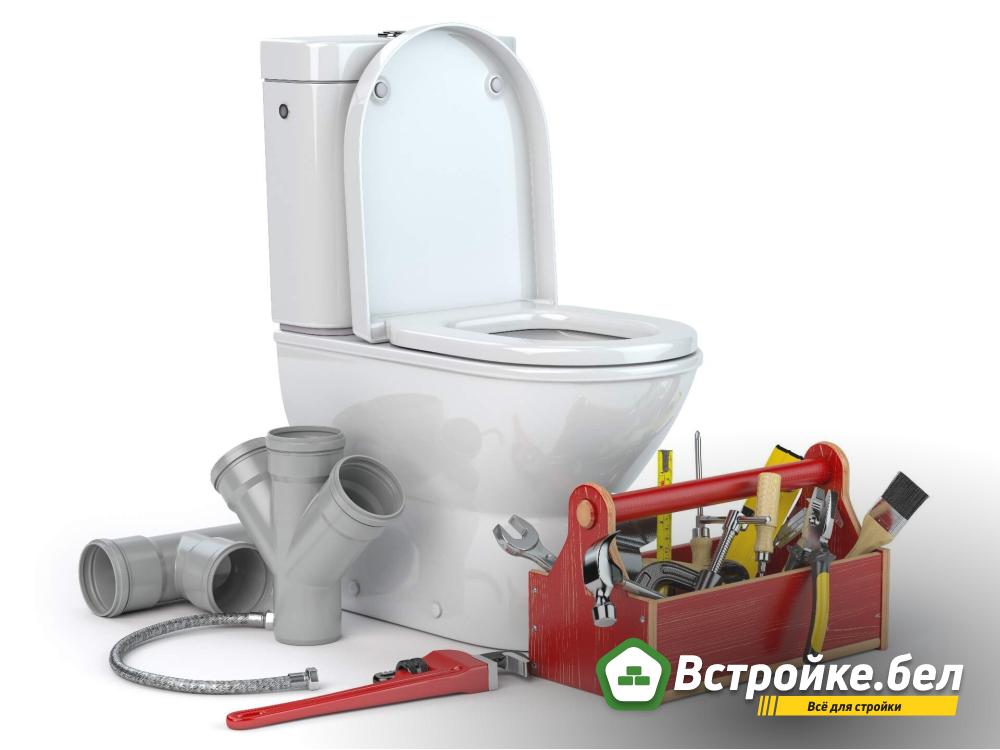 1.jpg?lang=ru